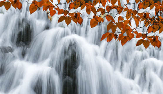 梦见不义之财是什么意思？周公解梦原版破解大全