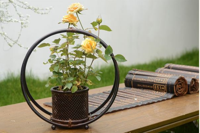 梦见历史书是什么意思？周公解梦原版破解大全