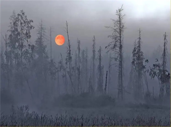 梦见火炬是什么意思？周公解梦原版破解大全