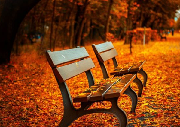 梦见长凳是什么意思？周公解梦原版破解大全