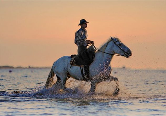 梦见骑马奔驰是什么意思？周公解梦原版破解大全