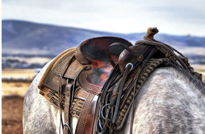 梦见马鞍是什么意思？周公解梦原版破解大全